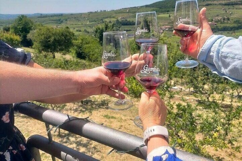 People toasting with wine glasses in a vineyard. 4