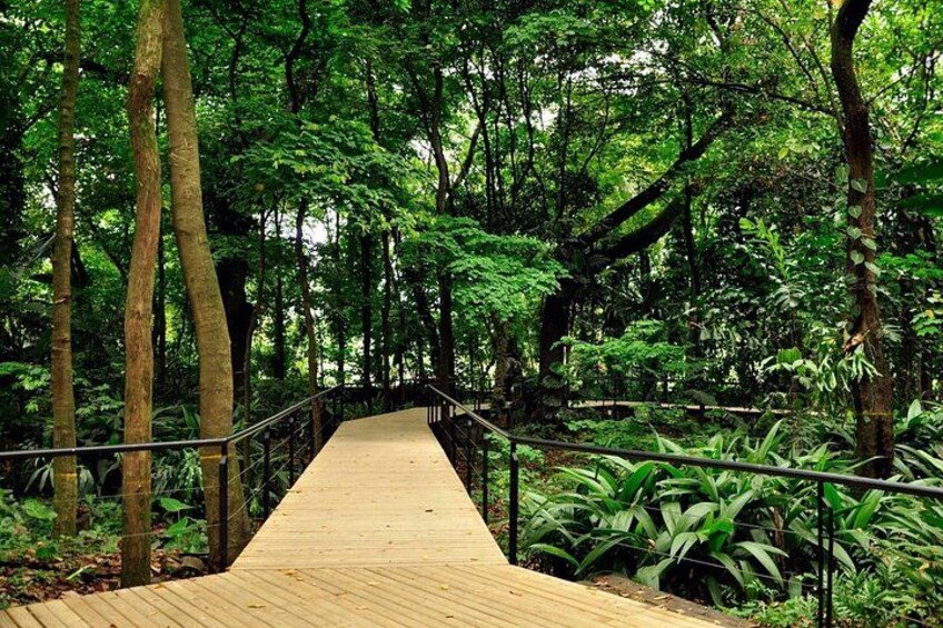 Botanical Garden and Arvi Park Private or Shared Tour 1