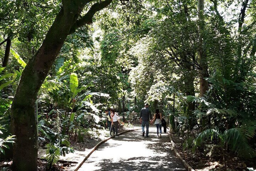 Botanical Garden and Arvi Park Medellín City Tour 