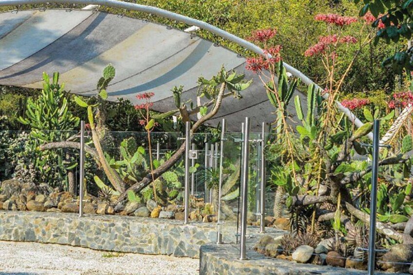 Botanical Garden and Arvi Park Private or Shared Tour 3