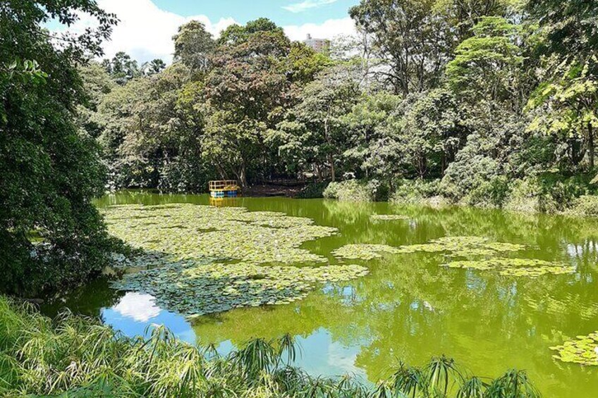 Botanical Garden and Arvi Park Medellín City Tour 