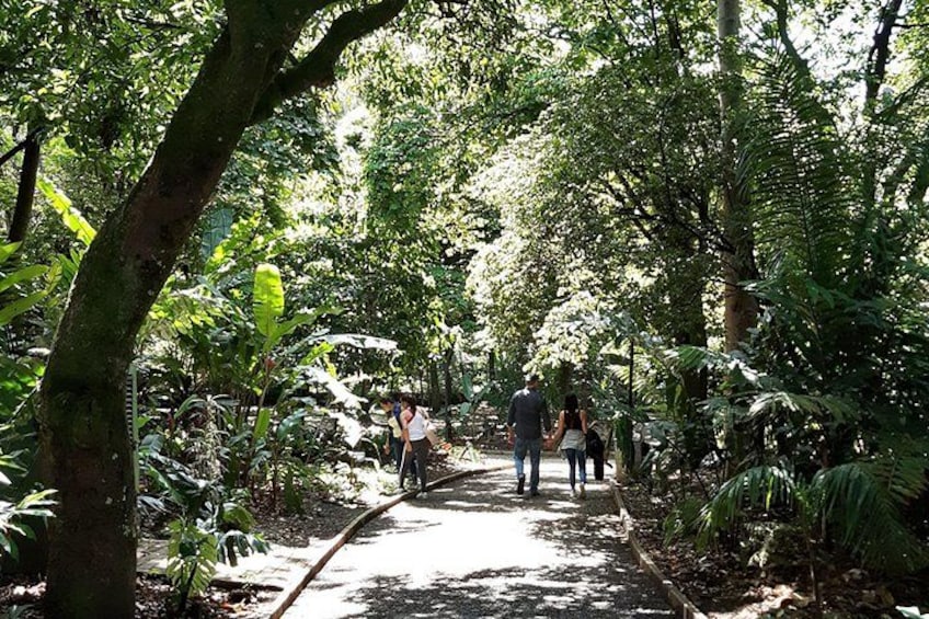 Botanical Garden and Arvi Park Private or Shared Tour 4