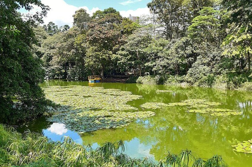 Botanical Garden and Arvi Park Private or Shared Tour 5