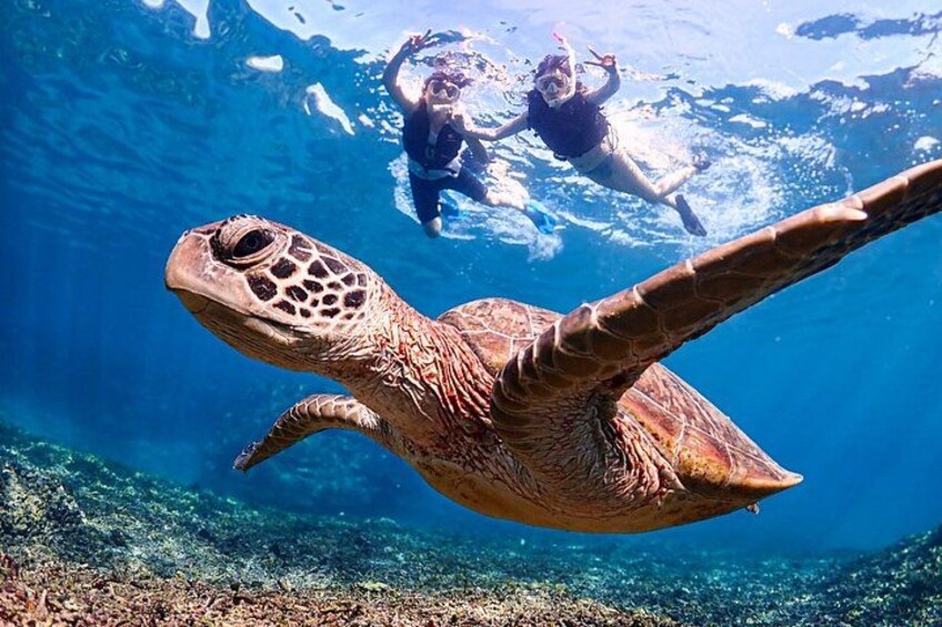 Okinawa Miyako Ultimate Day Trip SUP Snorkel Cave and Canoe 1