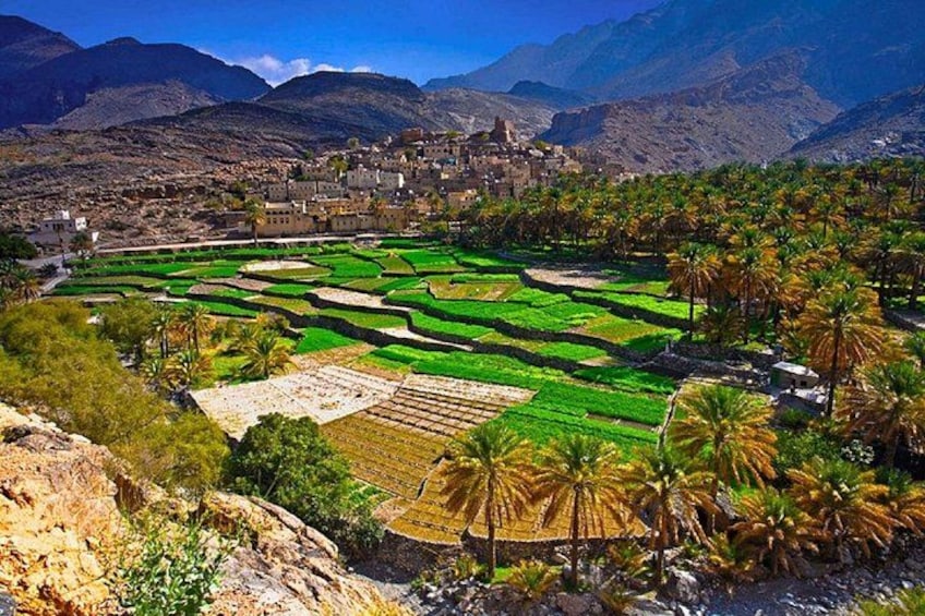 Terraced fields, palm trees, and a distant village. 1