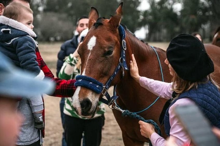 Gaucho Day Tour La Candelaria Estancia From Buenos Aires 3