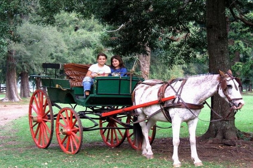 Gaucho Day Tour La Candelaria Estancia From Buenos Aires 2