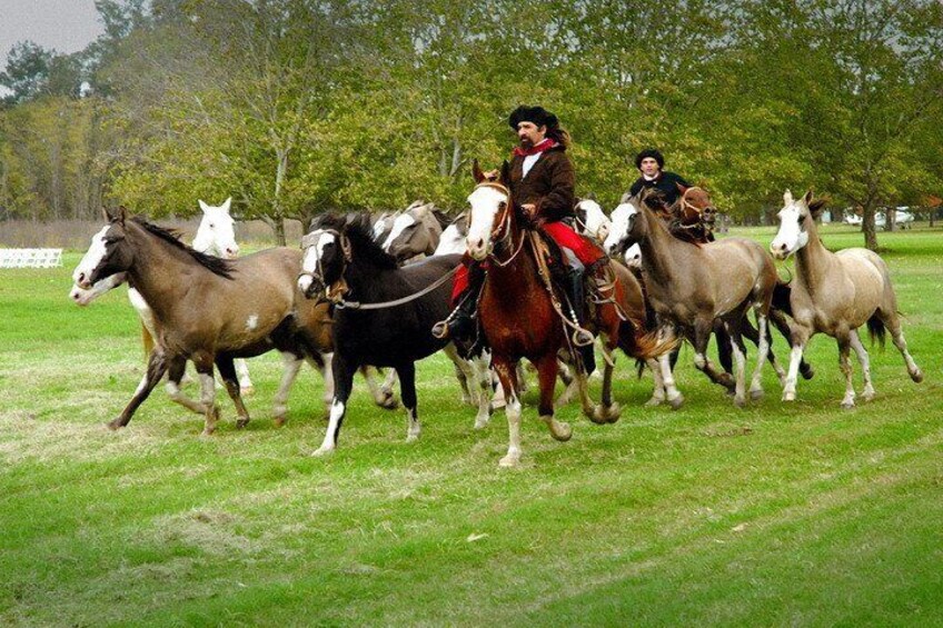 Gaucho Day Tour La Candelaria Estancia From Buenos Aires