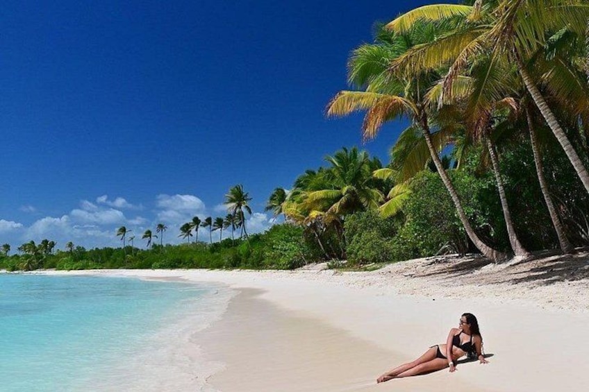 Saona Island, memorable all-inclusive experience, from Santo Domingo. 1