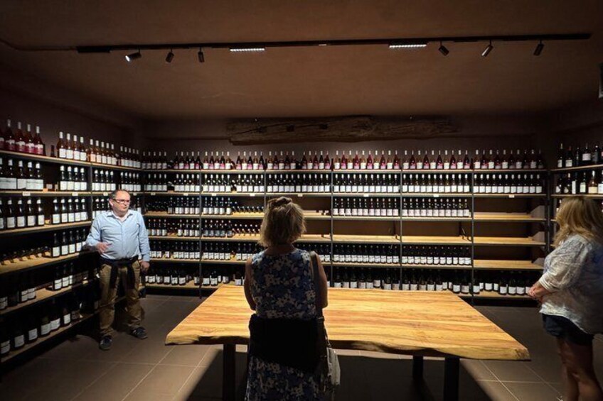 Wine Experience & Taormina Tour From Messina with Luxury Van 2