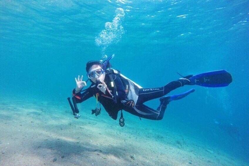 Scuba Diving Open Water PADI Course, Diving licence Fees - Sharm El Sheikh