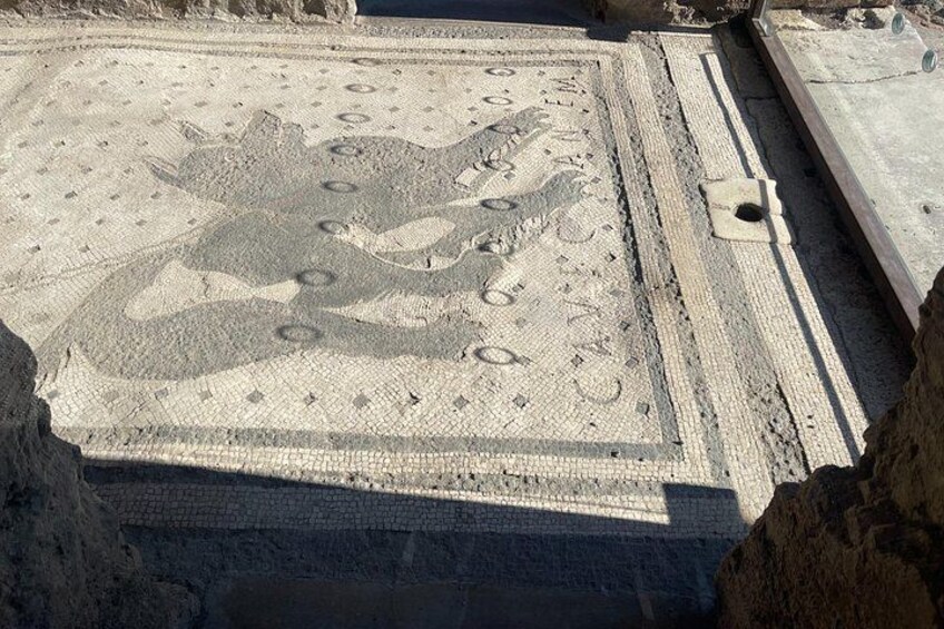 An ancient mosaic with geometric patterns and a central figure. 5