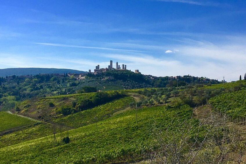 Tuscany and Wine Tasting Private Tour from Livorno 5