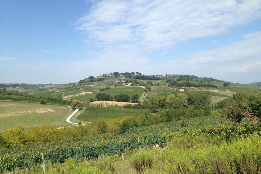 Tuscany and Wine Tasting Private Tour from Livorno 2