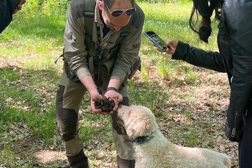 Semi-Private Truffle Hunting & lunch @ Winery, San Gimignano 4