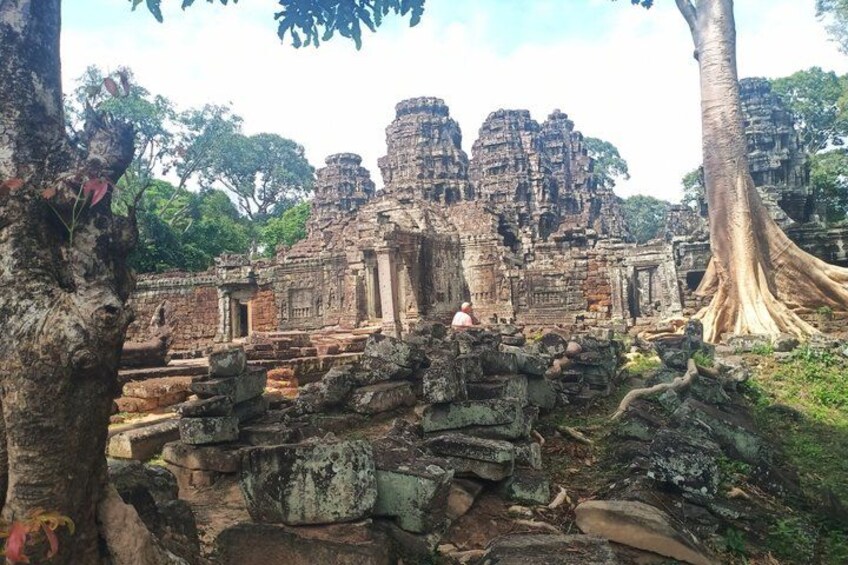 Ancient ruins with large trees and a person walking. 5