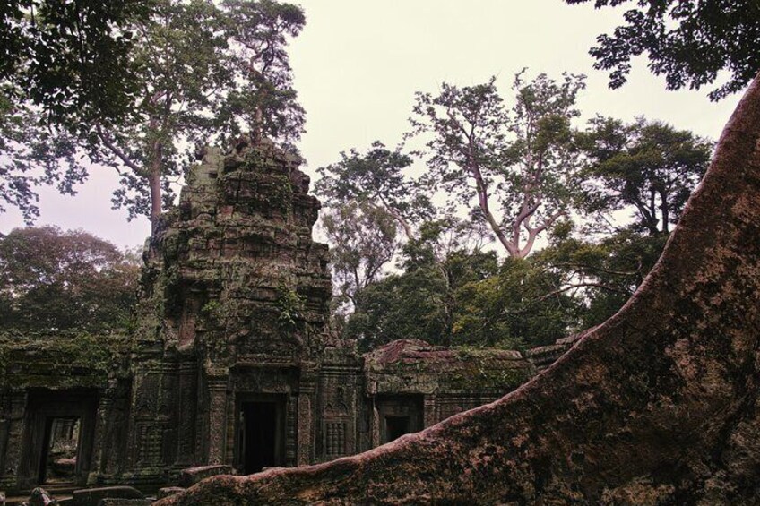 A temple surrounded by dense forest. 2