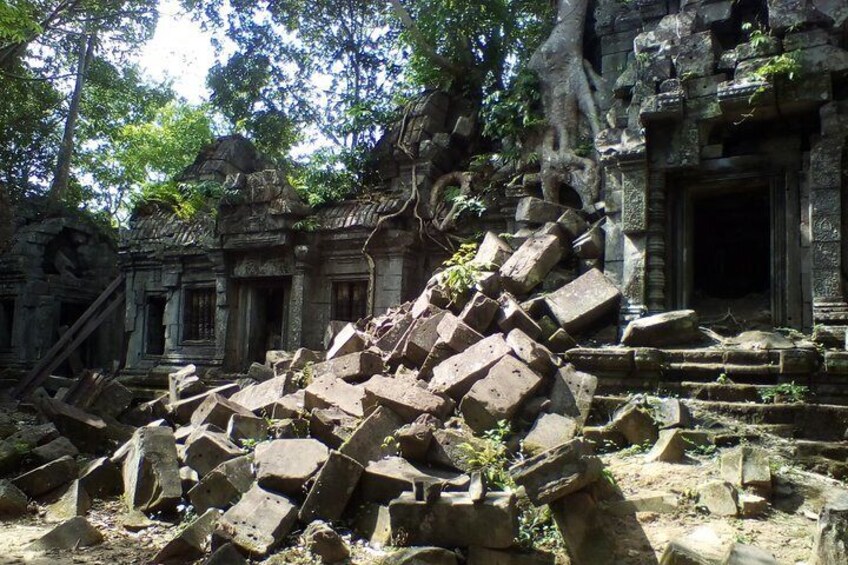 Ancient stone ruins with overgrown vegetation and fallen blocks. 3