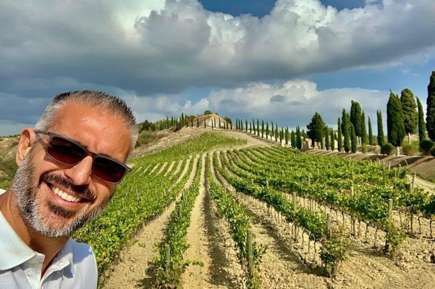 A vineyard with rows of grapevines under a cloudy sky. 1