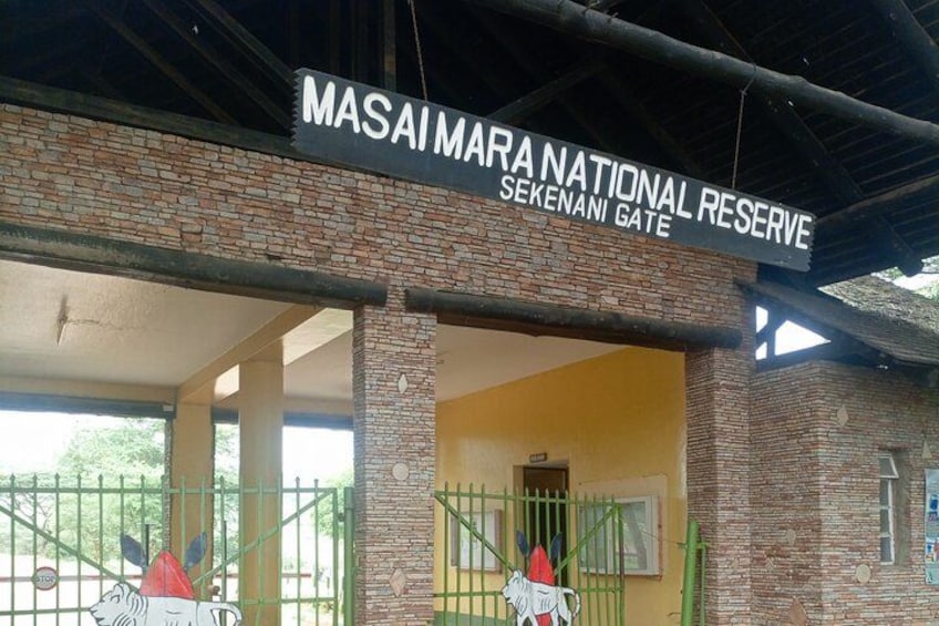 Masai Mara National Reserve entrance with a brick building, a gate, and a mural of a lion. 2