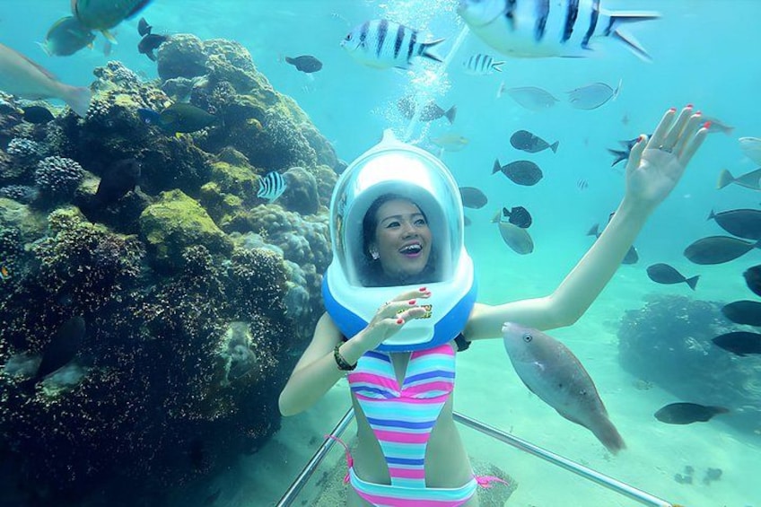 A person in a diving suit underwater with a coral reef and fish in the background. 2