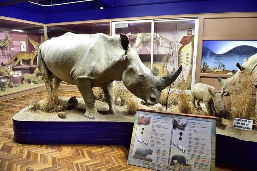 Een museumexpositie met een groot model van een neushoorn, informatieborden en een vitrine met andere dierenmodellen. 2