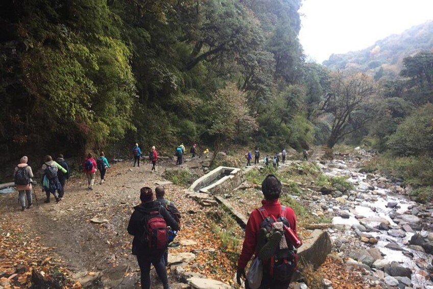 A group of hikers on a rocky trail surrounded by dense forest. 3