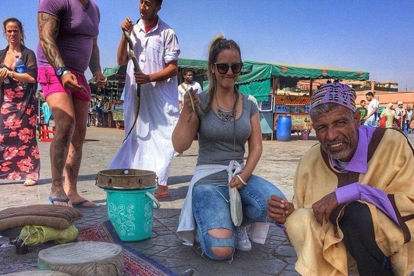 Half-Day Private Guided Tour of Marrakech Medina with Pickup 3