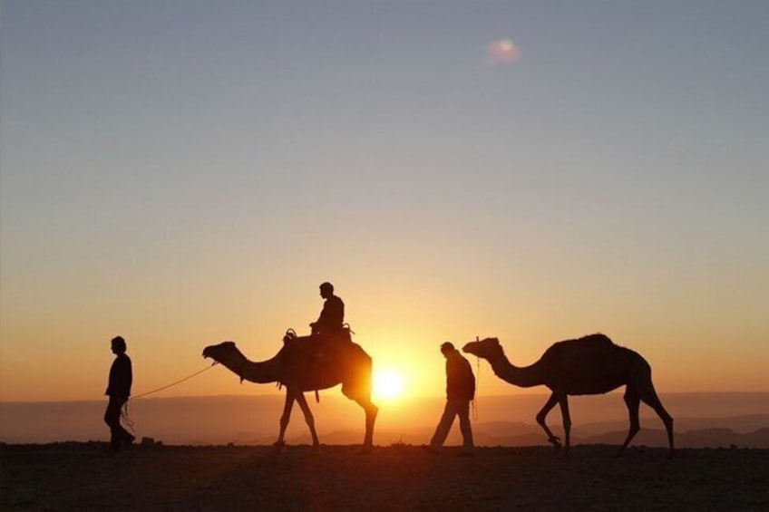 Marrakech to Agafay Desert Sunset: Camel Ride, Quad & Dinner Show 2