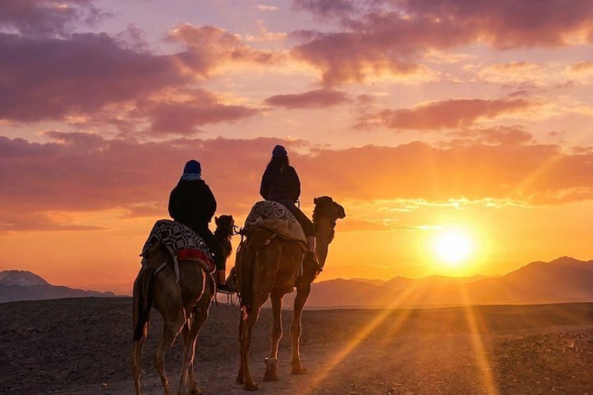 Marrakech to Agafay Desert Sunset: Camel Ride & Dinner Show 3