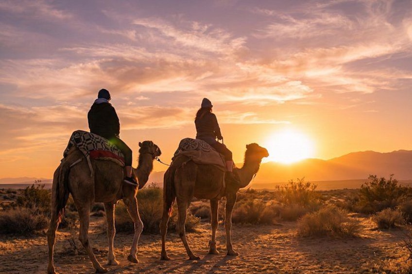 Marrakech to Agafay Desert Sunset: Camel Ride & Dinner Show 4