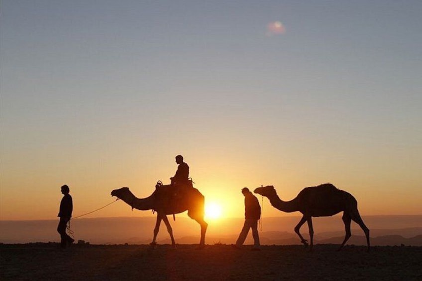 Marrakech to Agafay Desert Sunset: Camel Ride & Dinner Show 5