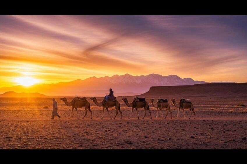 Marrakech: Agafay Desert Sunset Camel Ride, Dinner & Fire Show 4