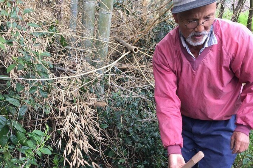 Harvest experience (Rural cuisine using seasonal vegetables)