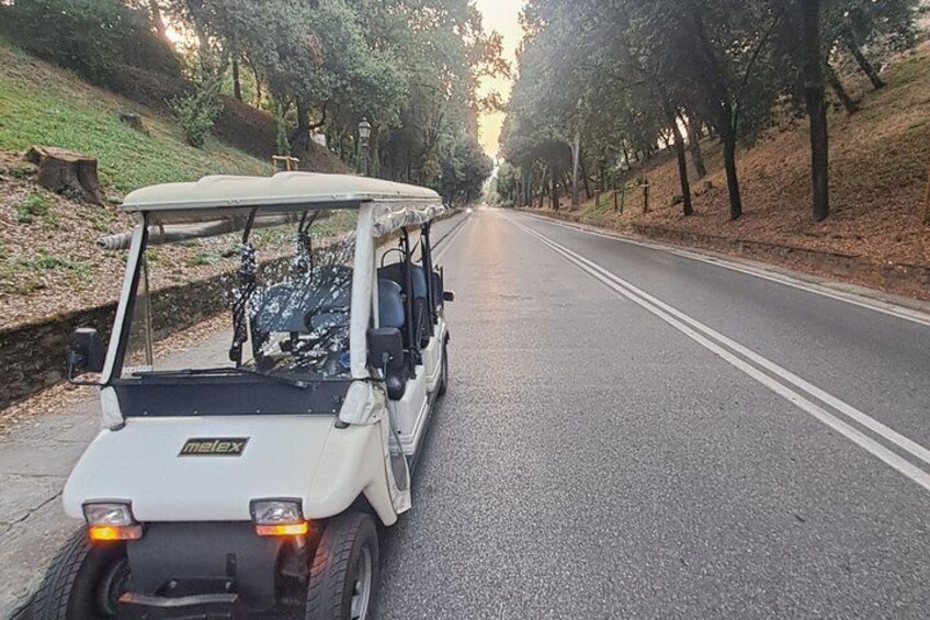 Florence by Golf Car with a local Tour Guide 5