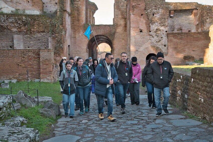 Rome: Colosseum with Arena Floor, Forum and Palatine Guided Tour 2