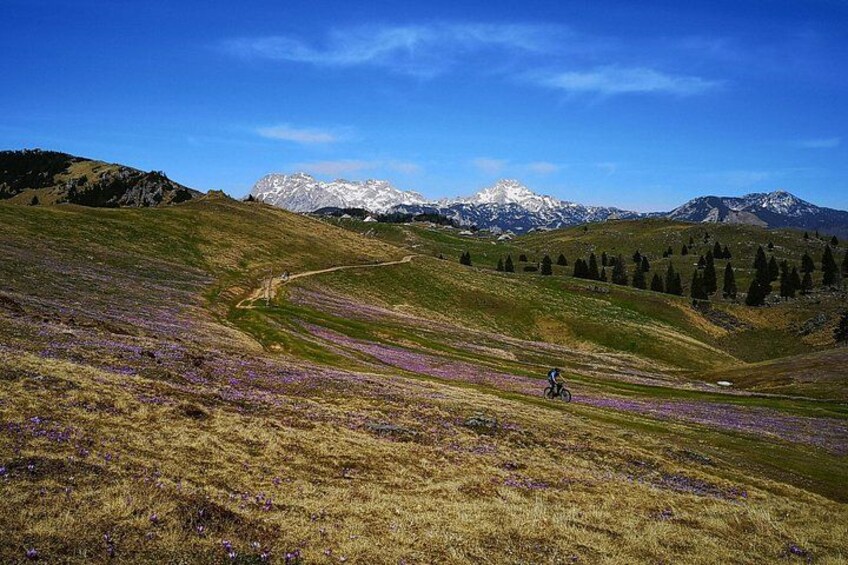 Velika Planina Mountain Biking 2