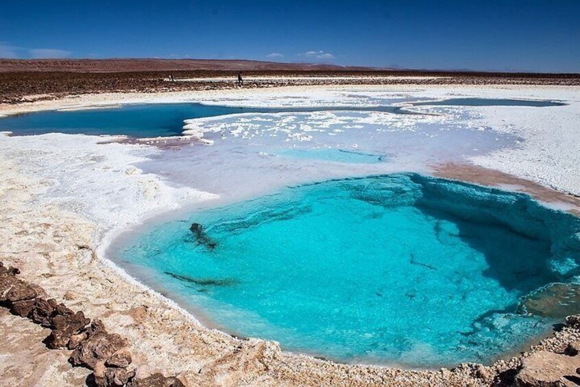 Hidden Lagoons of Baltinache