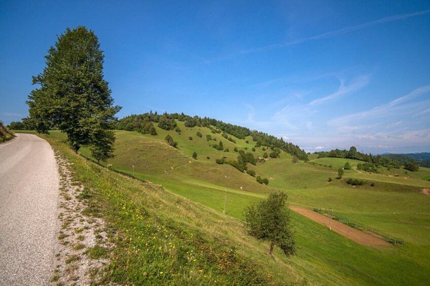 Road Cycling Tour Slovenia 3