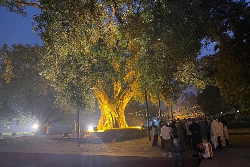 Full Day Lumbini Tour 5