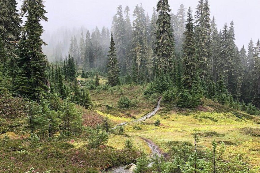 Hike the Gorgeous Trails in Washington 2