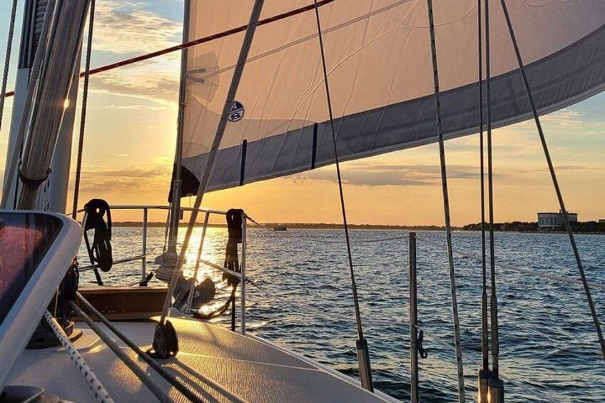 Private Luxury Yacht Charters, BYOB & Dolphins 2