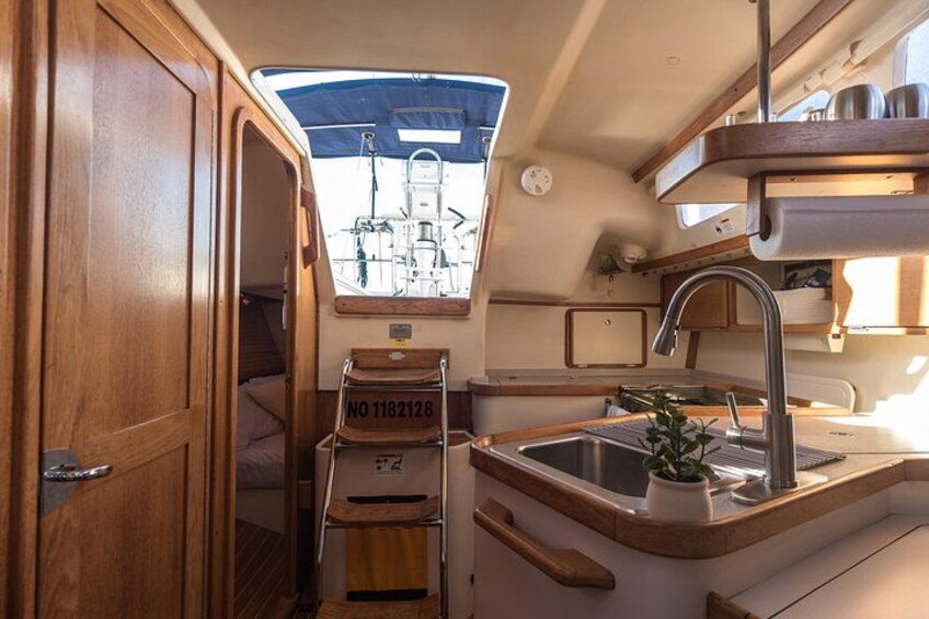 Private Luxury Yacht Charters, BYOB & Dolphins 3