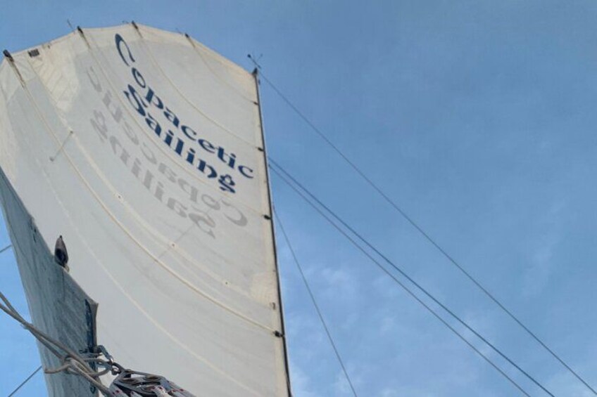 Un velero con vela blanca y el texto "Pacific Sailing". 4