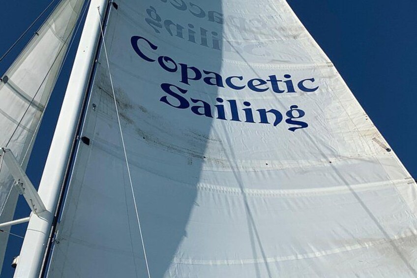 Copacetic Day Sail 2