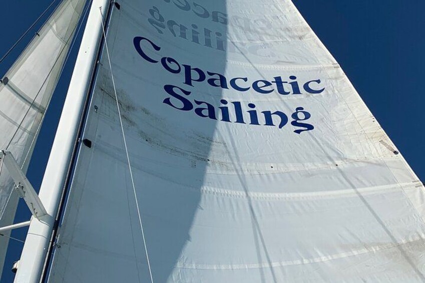 Un velero con el texto "Copacetic Sailing" en su vela. 3
