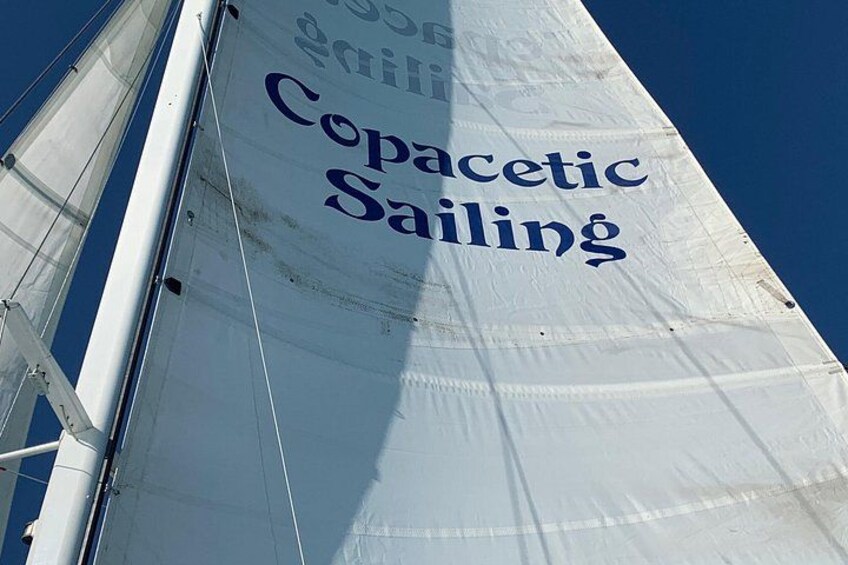 Copacetic Day Sail 5