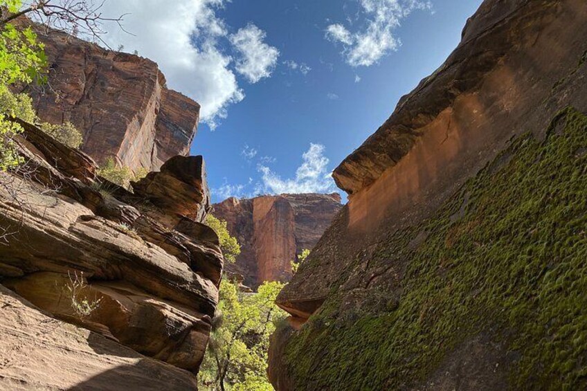 Un canyon aux formations rocheuses en strates, un ciel dégagé et une végétation verdoyante. 4