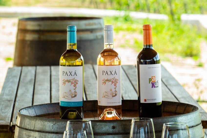 Private Wine Tasting & Traditional Algarve Country Lunch 2