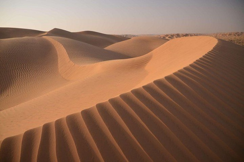 Sand dunes with rippled patterns and a clear sky. 4